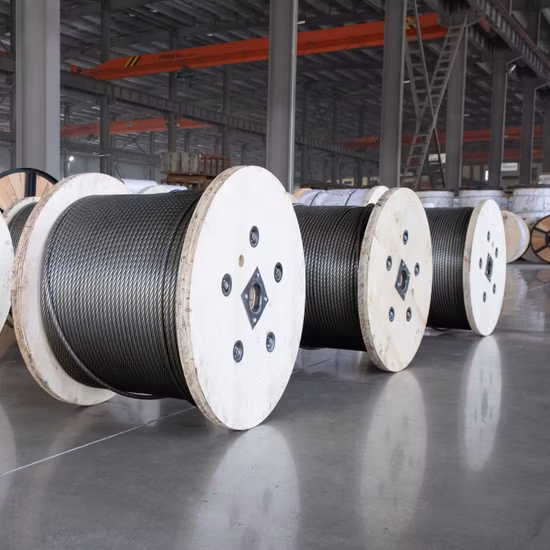 1X7/1X19/7X7/7X19/6X7+FC/6X19+FC SUS304/SUS316 産業用・自動車用・建設用・通信用・医療機器用スチールワイヤーロープ