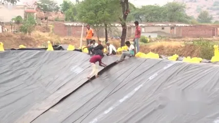 0.5 ミリメートル/0.75 ミリメートル/1.0 ミリメートル/1.5 ミリメートル/2.0 ミリメートル ASTM 不浸透性防水 HDPE ジオメンブレンダム/埋立地/魚/エビ養殖池ライナーメーカー価格