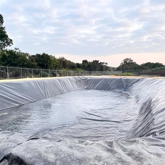 水産養殖/養魚場/エビ/池/ダム/埋立地/鉱業/塩/尾ライナー用のカスタマイズされた HDPE/LDPE/PE/EV/ECB/PVC テクスチャ/複合ジオメンブレン メーカー
